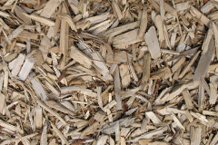 biomass boilers Smithton