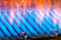 Smithton gas fired boilers